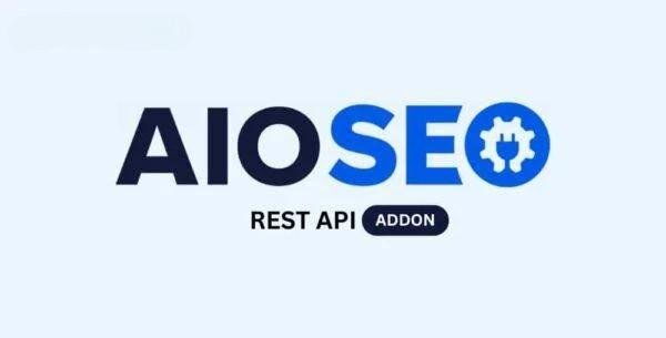 AIOSEO REST API Addon