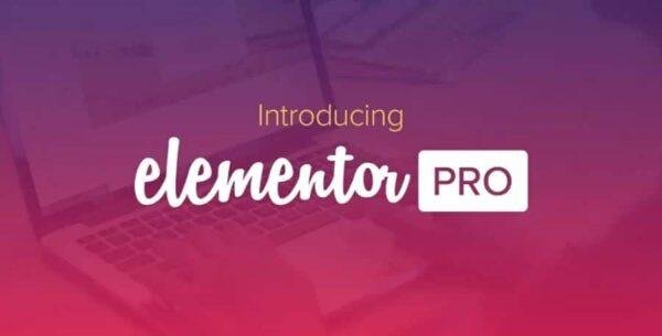 Elementor PRO WordPress