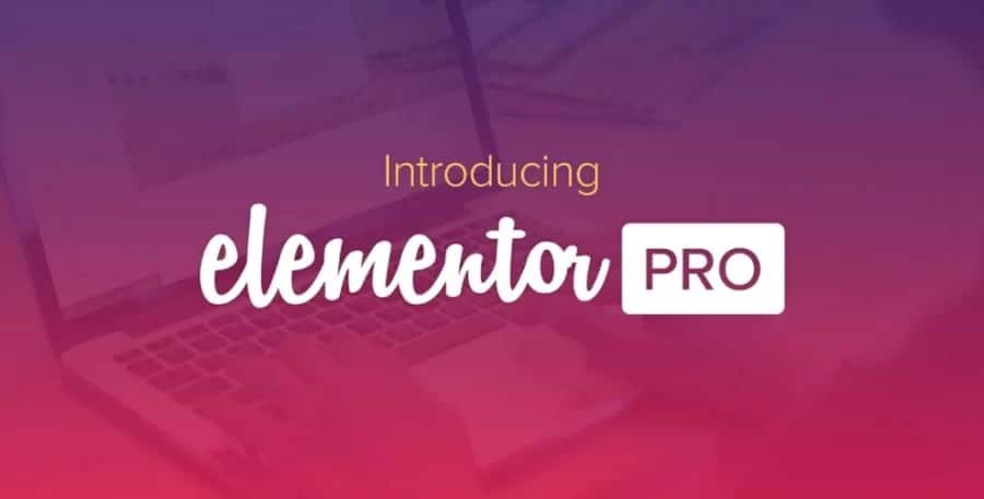 Elementor PRO WordPress