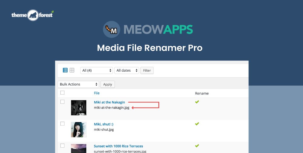 Media File