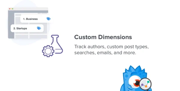 MonsterInsights Custom Dimensions Addon 2.0.8