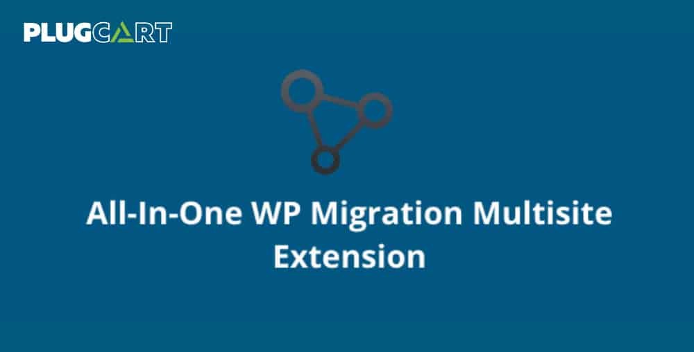 All In One WP Migration Multisite Extension [Pre-activated] 4.58