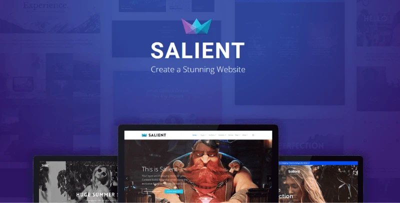 Salient Theme Creative Multipurpose & WooCommerce Theme 17.4.1