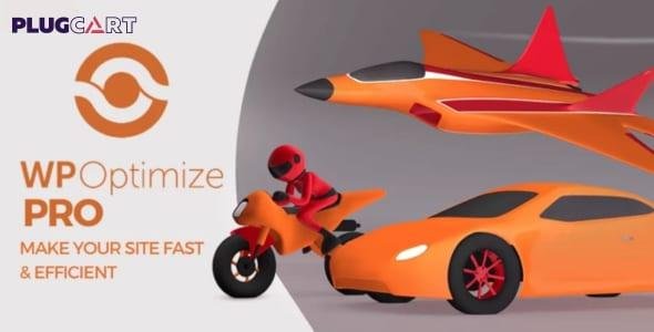 WP Optimize Premium 4.3.0