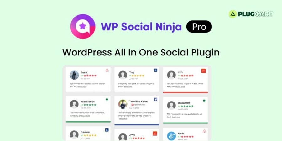 WP Social Ninja Pro